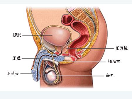 宗筋療法