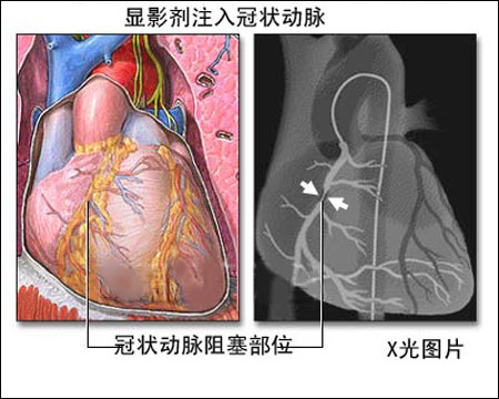 byb.cn